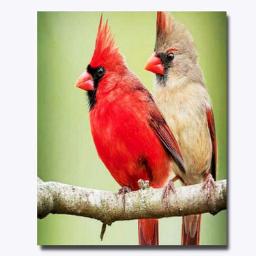 Diamond Painting Linnut 30x40cm